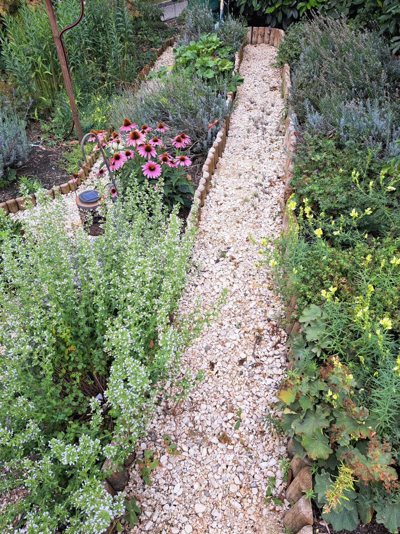 Blumenbeet-Einfassungen mit Blumenflor